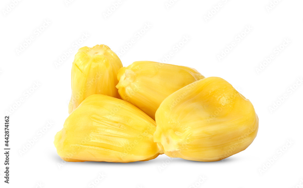 Ripe Jackfruit isolated on white background Ripe Jackfruit isolated on white background
