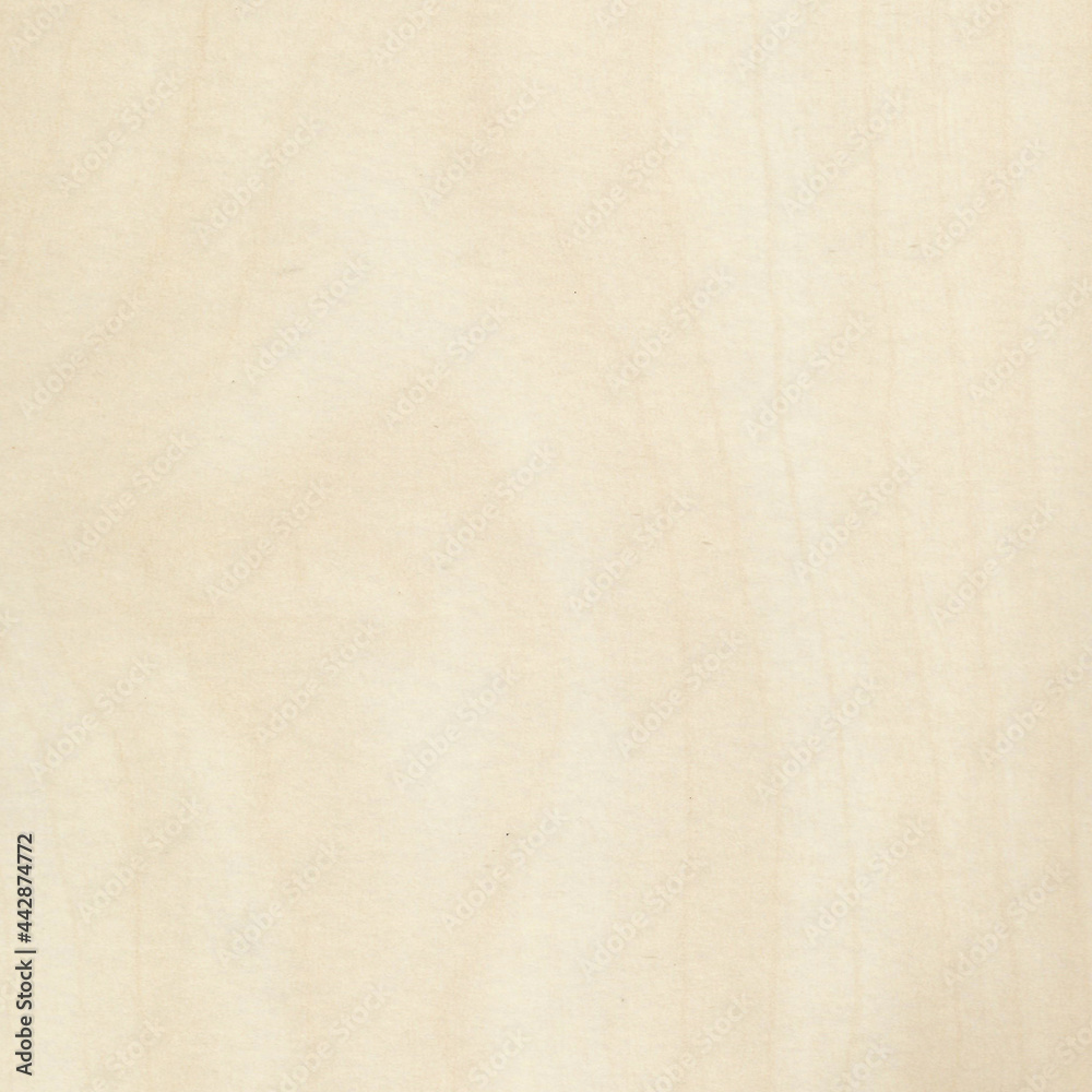 Obraz premium old paper texture