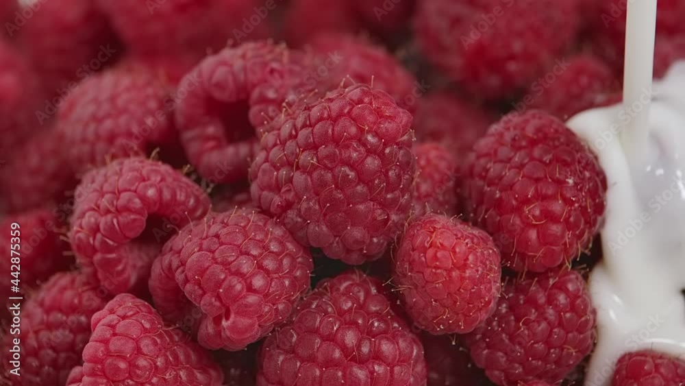 Pouring juicy fresh raspberries into cream or yoghurt. Sweet red berries covered with a white milky liquid. Vitamin healthy dessert. Beautiful background of appetizing food. Close up. Slow motion. Pouring juicy fresh raspberries into cream or yoghurt. Sweet red berries covered with a white milky liquid. Vitamin healthy dessert. Beautiful background of appetizing food. Close up. Slow motion.
