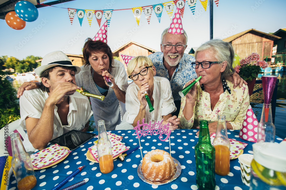 Senior people celebrating birthday in the cottage on the river having fun.