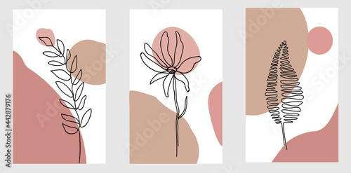 One line art earth tone boho foliageset tropical wall art vector set
