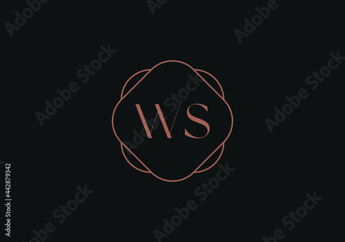 Initial letters WS logo design template