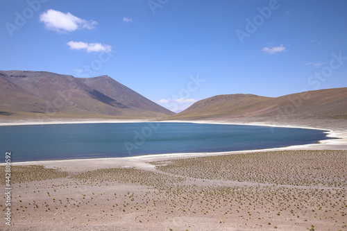 View of Miniques Lake in the Atacama Desert, Chile