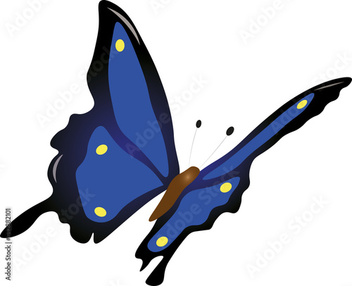 blue butterfly with dots flying in sky