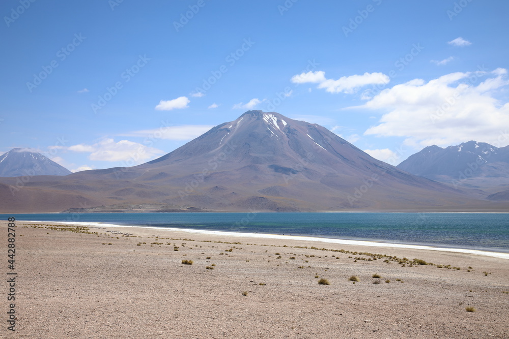 View of Miscanti Lake in the Atacama Desert, Chile View of Miscanti Lake in the Atacama Desert, Chile