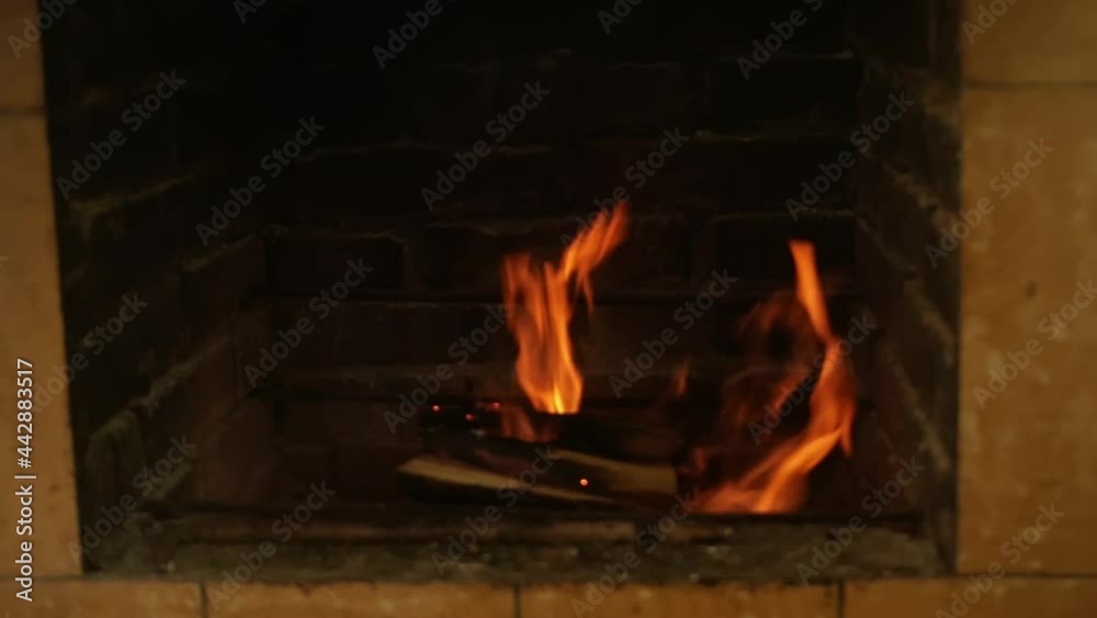blurred bonfire, copy space. Beautiful fire, igniting a fire. Flames in the fireplace, wood for cooking meat. Brick grill. The screensaver, the footage. blurred bonfire, copy space. Beautiful fire, igniting a fire. Flames in the fireplace, wood for cooking meat. Brick grill. The screensaver, the footage.