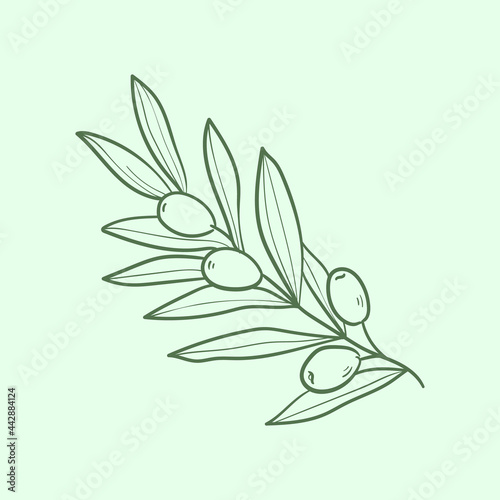 Olive branch Line vector illustration. Detailed Food icon for mobile concept, print, menu, and web apps. For for restaurant, bar, vegan, healthy and organic food, market, farmers market.