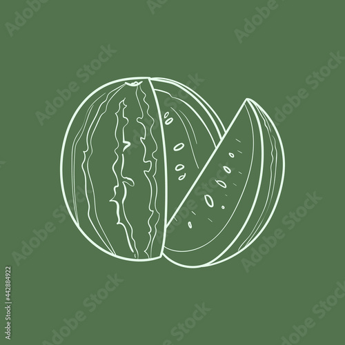 Watermelon Line vector illustration. Detailed Food icon for mobile concept  print  menu  and web apps. For for restaurant  bar  vegan  healthy and organic food  market  farmers market.