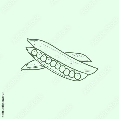Green pea Line vector illustration. Detailed Food icon for mobile concept, print, menu, and web apps. For for restaurant, bar, vegan, healthy and organic food, market, farmers market. © KozyPlace