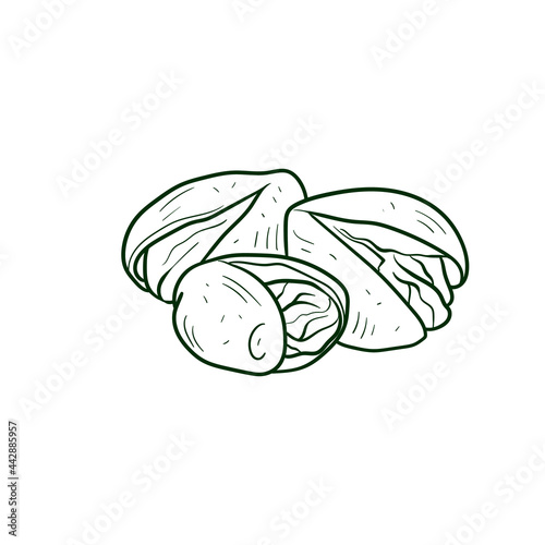 Pistachio Line vector illustration. Detailed Food icon for mobile concept, print, menu, and web apps. For for restaurant, bar, vegan, healthy and organic food, market, farmers market.