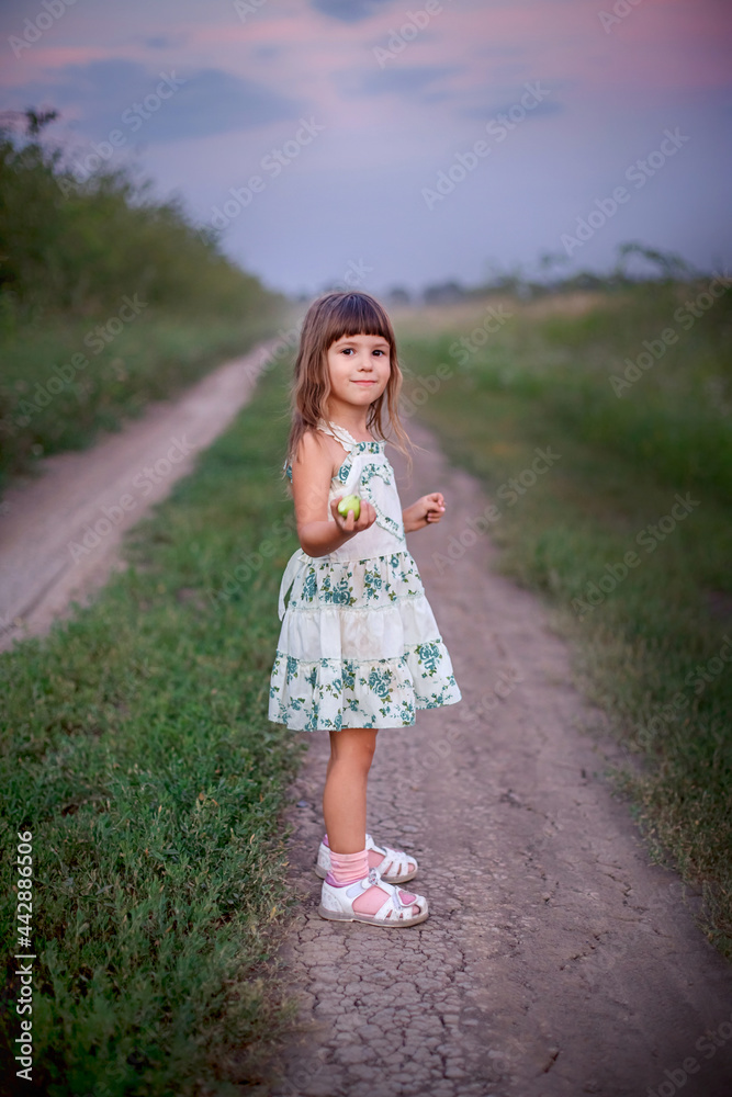 fair-haired girl in a white dress stands on an earthen road in a field of green grass fair-haired girl in a white dress stands on an earthen road in a field of green grass