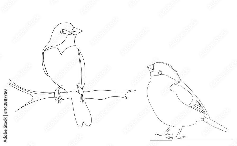 Fototapeta bird on a branch drawing by one continuous line