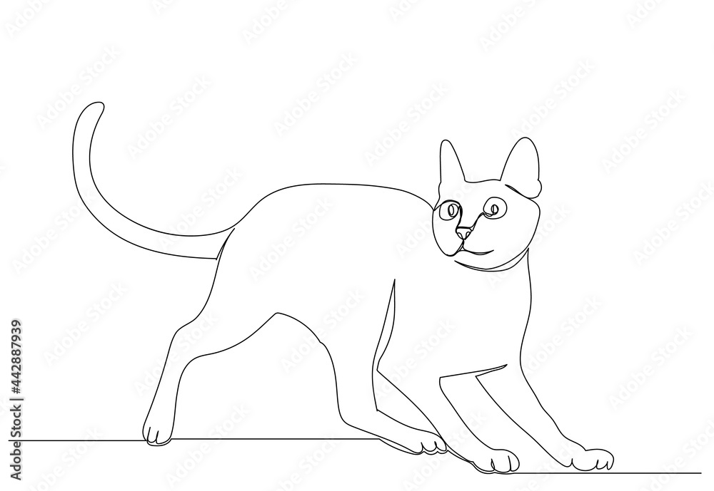 cat drawing by one continuous line sketch