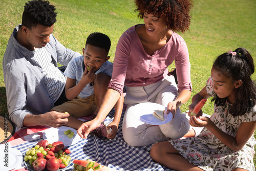Happy african american couple with son and daughter outdoors  having picnic in sunny garden
