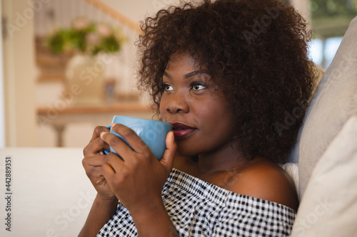 Portrait of smiling african american woman having tea sitting on sofa at home