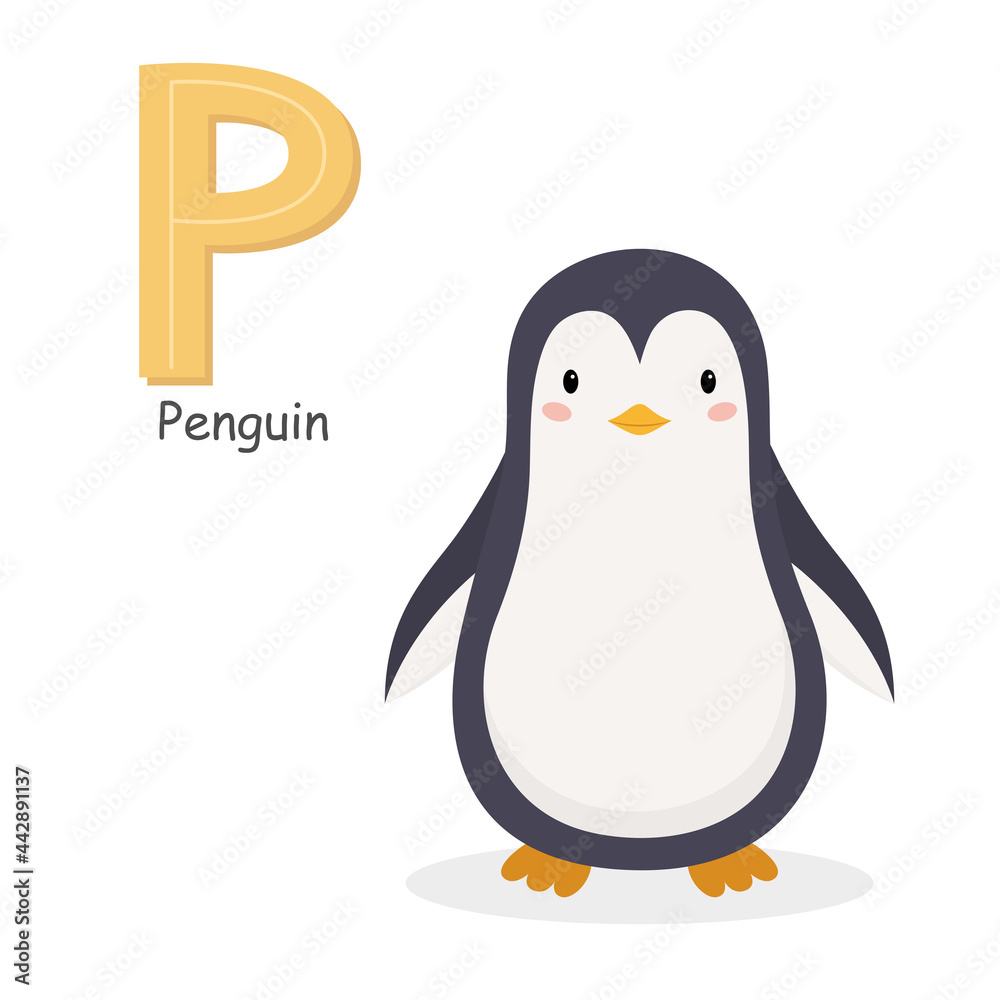 Fototapeta premium Letter P and a cute cartoon penguin. Children's English alphabet. It is suitable for the design of postcards, books, leaflets, banners, birthday invitations. Colorful vector illustration