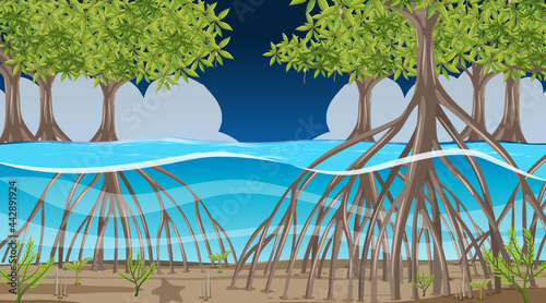 Nature scene with Mangrove forest at night in cartoon style