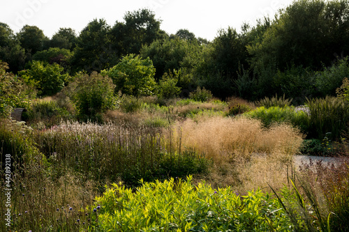 De Vlinderhof, design Piet Oudolf, Utrecht photo