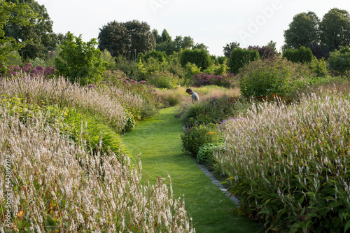 Public garden De Vlinderhof,  part of Maximapark, Utrecht, the Netherlands photo