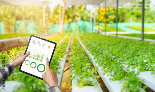 Farmers healthy hydroponic vegetables. She uses tablet technology to control plant growth factors. temperature and humidity control Ready to analyze the cost and demand of the SEO sales channel market