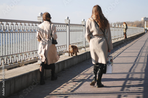 Two girls and english cocker spaniel dog.Portrait of dog outside (outdoors). Sunny day.