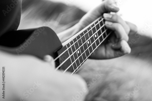 The girl plays the ukulele