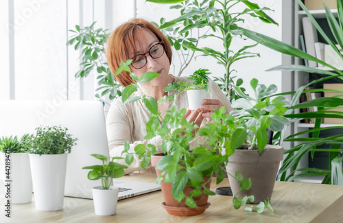 laptop woman greens plant greenhouse workplace online meeting houseplant