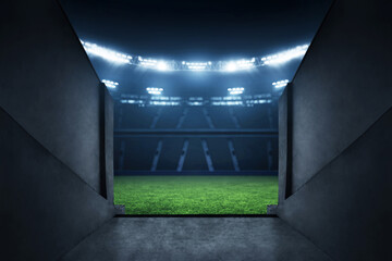 Professional soccer field stadium entrance