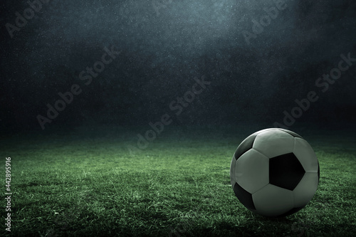 Soccer ball on green field © fotokitas