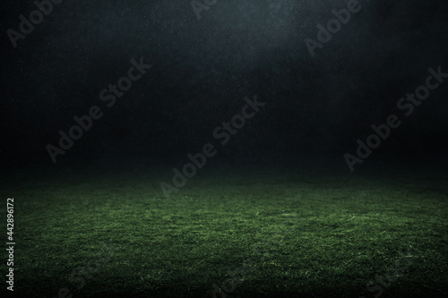 Fototapeta Naklejka Na Ścianę i Meble -  Professional soccer field stadium background