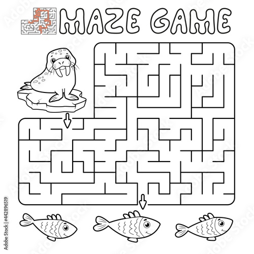 Maze puzzle game for children. Outline maze or labyrinth game with walrus.