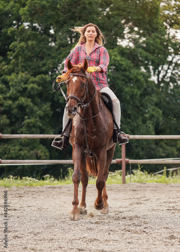 Obraz premium Young woman wearing shirt riding brown horse in sand paddock by wooden fence, hair moving in air because of speed