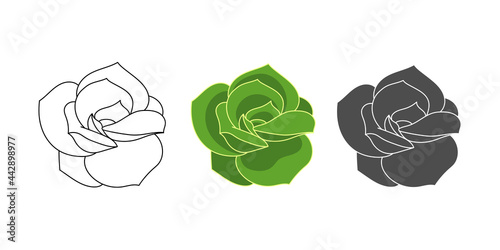 Set succulent echeveria Lovely Rose - color green, doodle, simple. Collection isolated element on white background. Home plant for print and design. Desert flower hand drawn, vector illustration