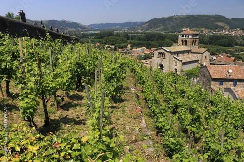 Vallée du Rhône Village traditionnel Vignes vignoble du Côtes du Rhône Auvergne Rhône Alpes France photo