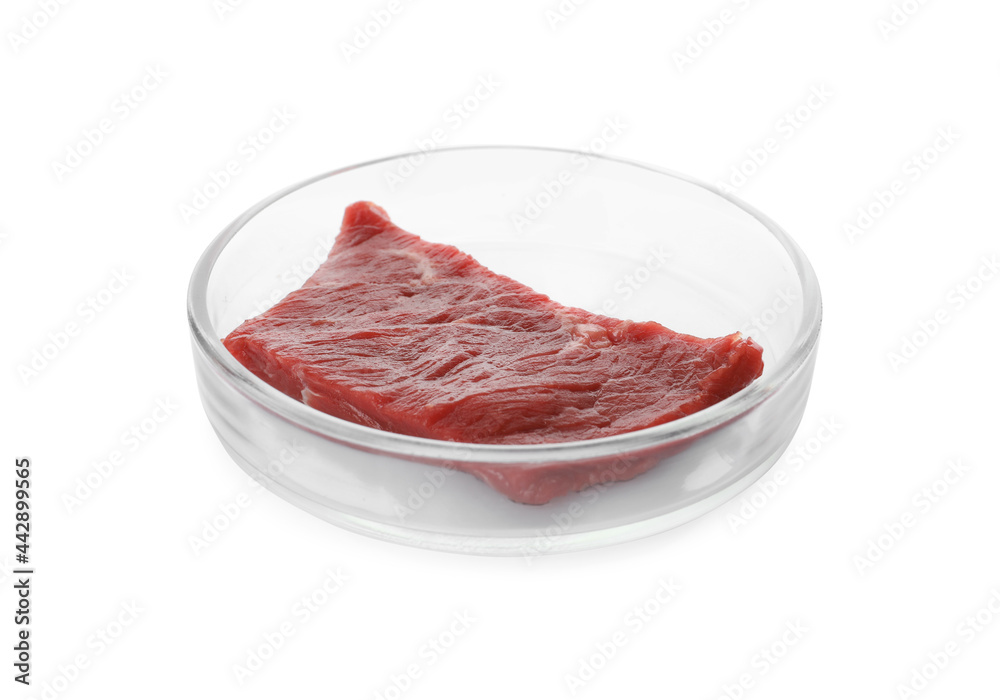 Petri dish with piece of raw cultured meat on white background