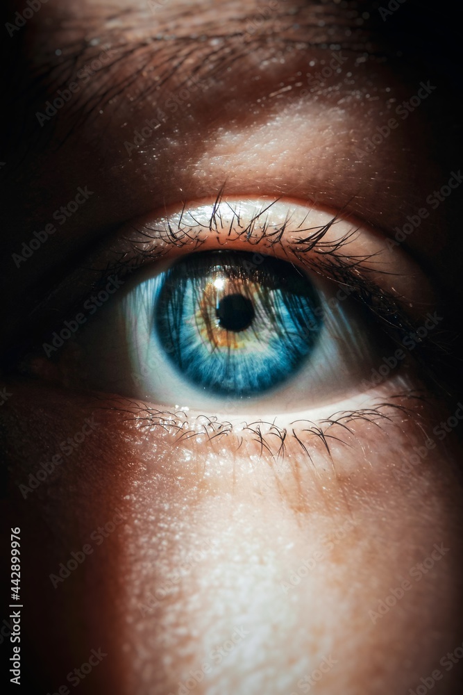 Close-up Portrait Of Human Eye - obrazy, fototapety, plakaty 