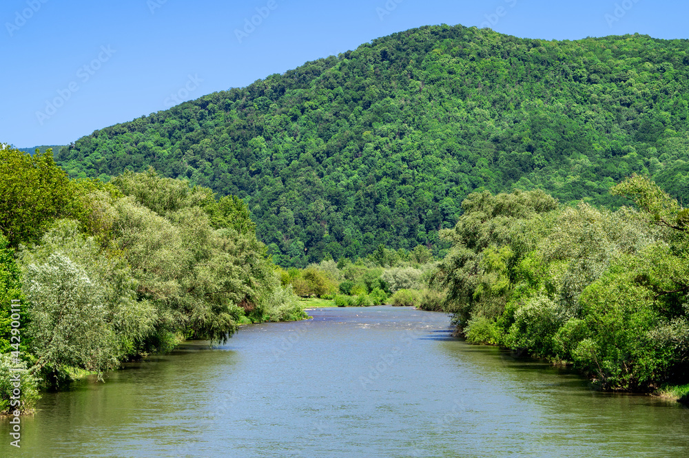 swift mountain river against the backdrop of a large mountain. View of the water in the mountain valley. Beautiful landscape. Carpathians. swift mountain river against the backdrop of a large mountain. View of the water in the mountain valley. Beautiful landscape. Carpathians.