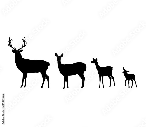 Black silhouette of the deer family is father, mama and baby. Vector illustration isolated on white background
