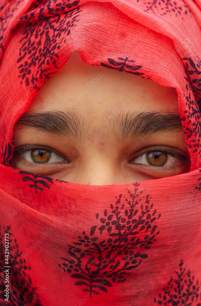 Closeup of beautiful woman face covered with hijab. Perfect brown crystal  and shiny eyes of a Muslim girl. Front view of brown eyes. Photos | Adobe  Stock
