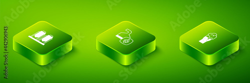 Set Isometric Beer brewing process, Glass of beer and icon. Vector