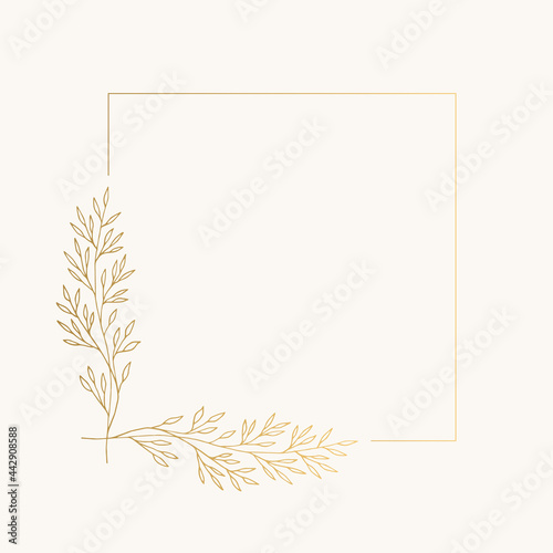 Elegant golden square borders with botanical motif. Vector isolated illustration.