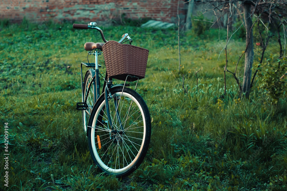 Vintage black bicycle parking outdoor. Stylish bike with rustic basket.