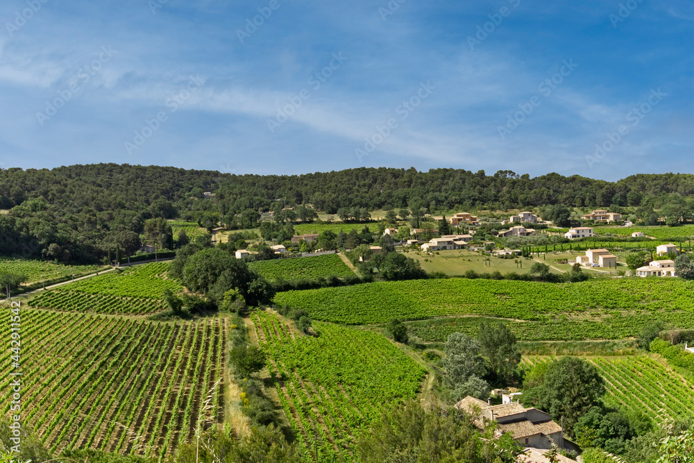 vue de vignes et champs autour de Vaison-la-romaine vue de vignes et champs autour de Vaison-la-romaine