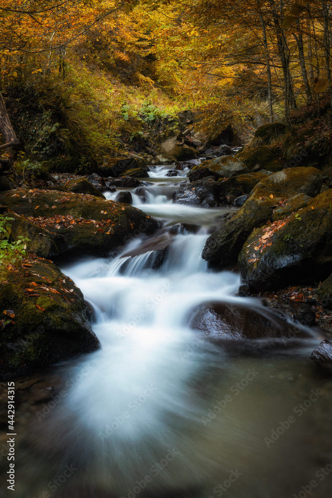 Mountain waterfall in Autumn