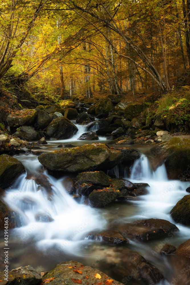 Mountain waterfall in Autumn
