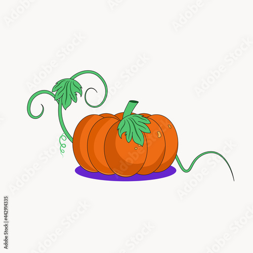 Pumpkin with a vine and leaves is colored in a cartoon style. A symbol of the harvest, autumn, holiday, Halloween, vegetarianism and proper nutrition. Vector flat illustration of vegetables