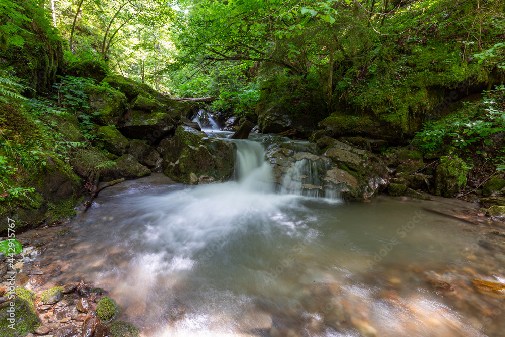 Obraz premium Mountain river in the Carpathians on a summer day with clear crystal water, rocks overgrown with moss and ferns. Long exposure. The concept of virgin wildlife.
