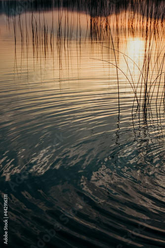 sunset on the lake