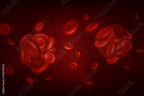 Blood clots, thrombus or embolus with coagulated erythrocytes. photo