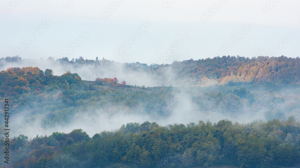 Fog and clouds rising from an autumn forest Fog and clouds rising from an autumn forest